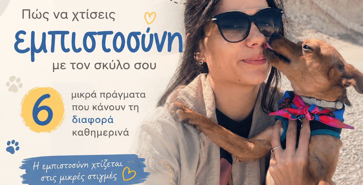 Πώς να χτίσεις εμπιστοσύνη με τον σκύλο σου: 6 μικρά πράγματα που κάνουν τη διαφορά καθημερινά