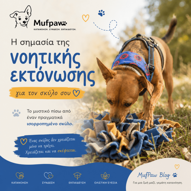 Η σημασία της νοητικής εκτόνωσης για τον σκύλο σου: Το μυστικό πίσω από έναν πραγματικά ισορροπημένο σκύλο